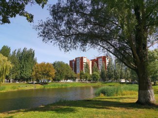 Три парка и сквер: самарцы голосуют за комфортные зелёные зоны